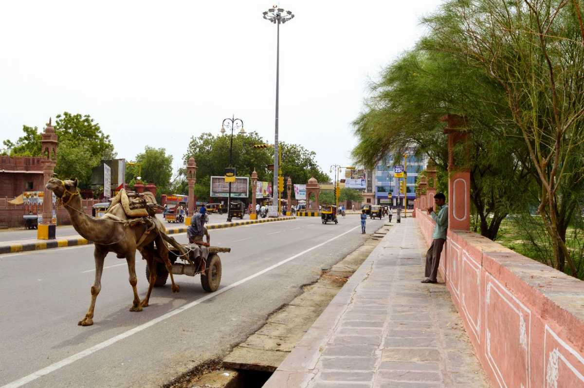 MG Road, Shopping in Bikaner