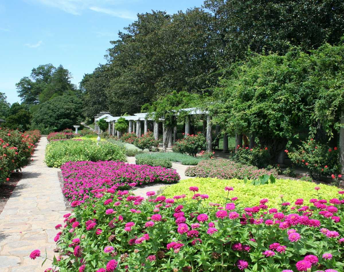 Flower beds in the Park