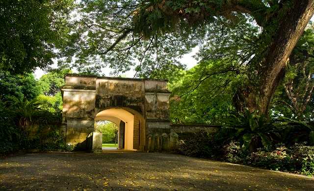 Sunrise at Fort Canning Park