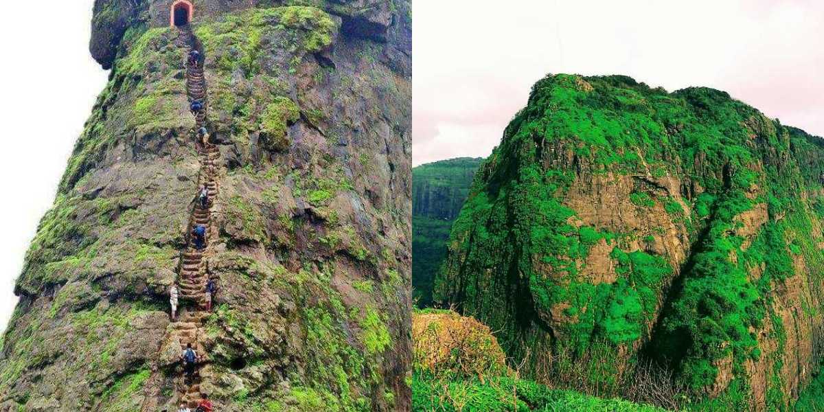 jungle treks in maharashtra