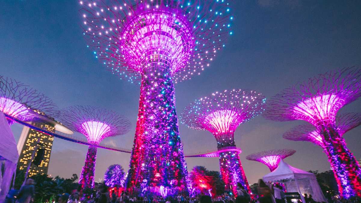 Supertree Grove Singapore Gardens By The Bay Light Show