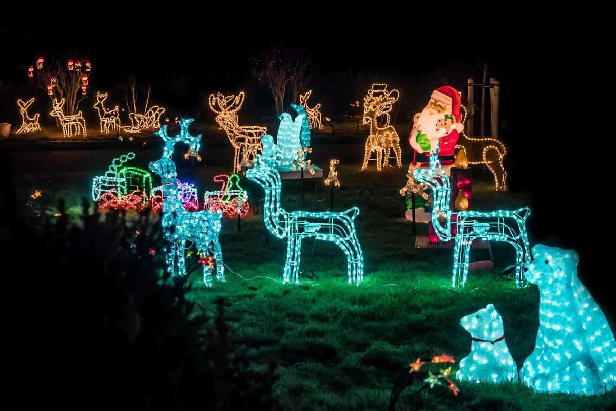 Christmas in Charleston Top 10 Things to Do, Events and More