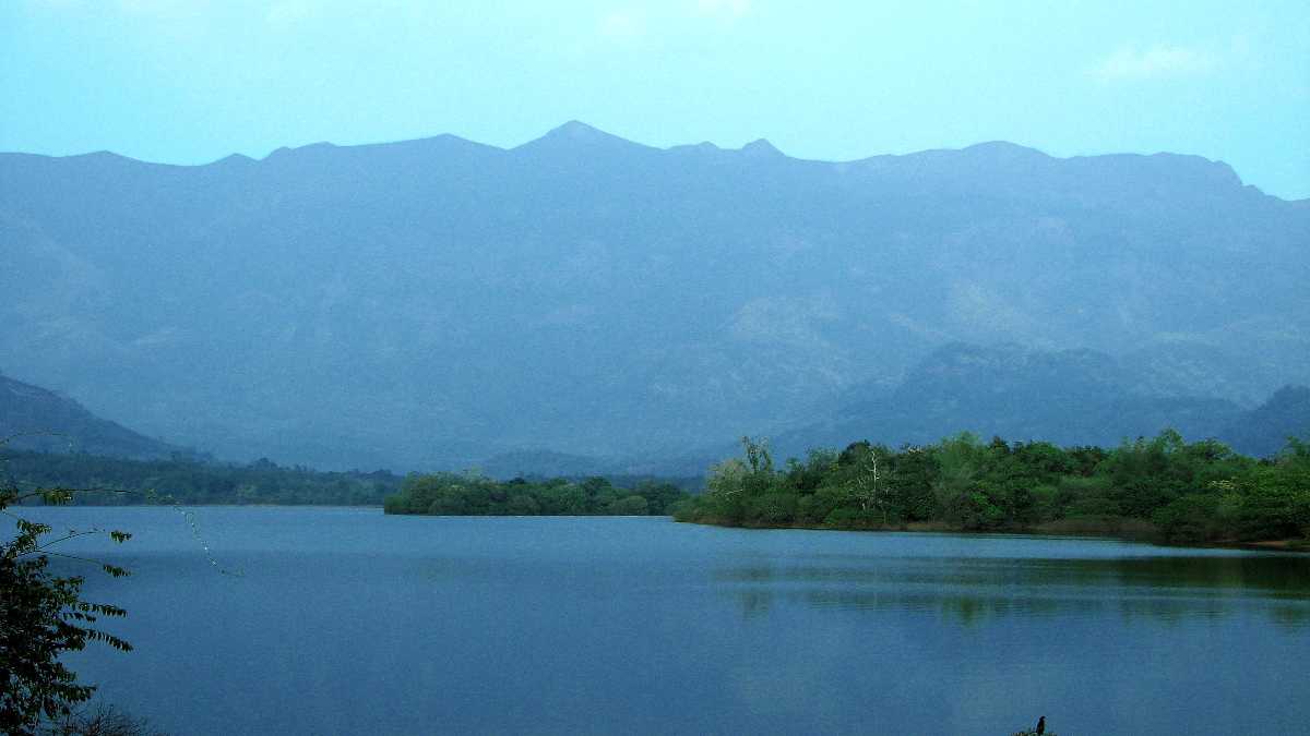 Pechiparai Reservoir in Kanyakumari District