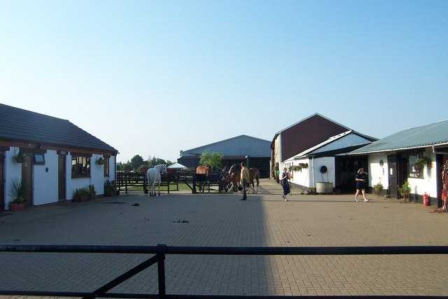 Bali Equestrian Centre, Horseriding in Bali