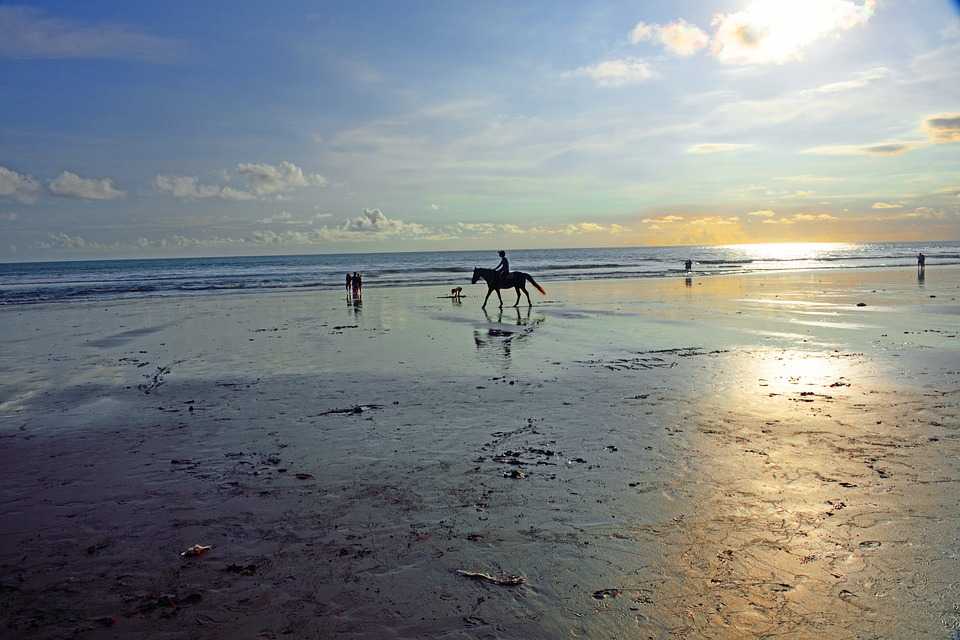 Horseback Riding in Bali