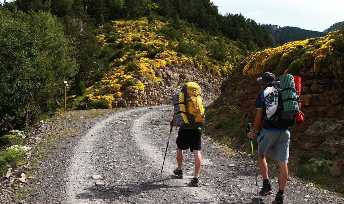 Hiking in Las Vegas 8 Best Hiking Trails in Las Vegas