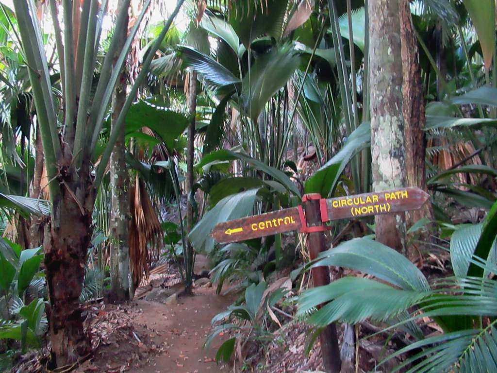 Hiking, Seychelles in April