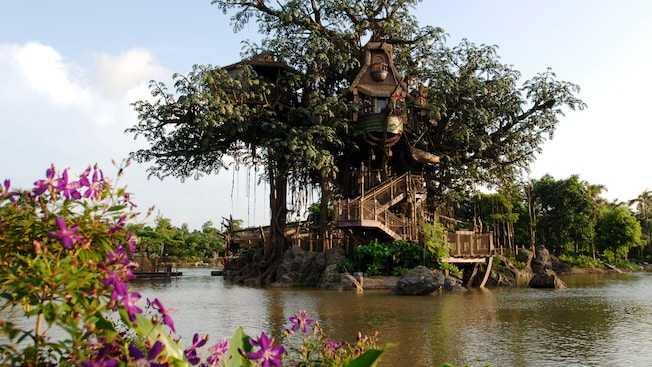 Tarzan's Treehouse at Hong Kong Disneyland