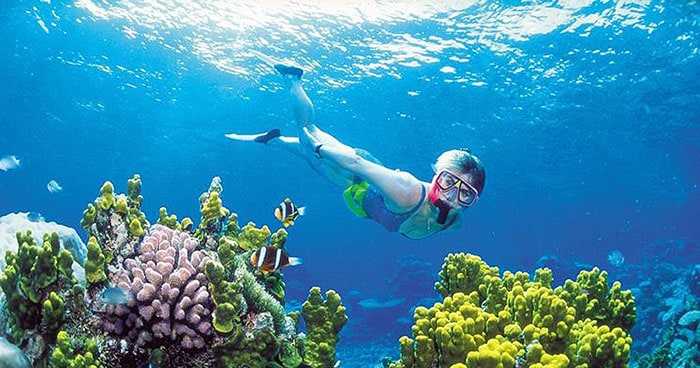 Snorkelling in Cham Islands Hoi An Vietnam