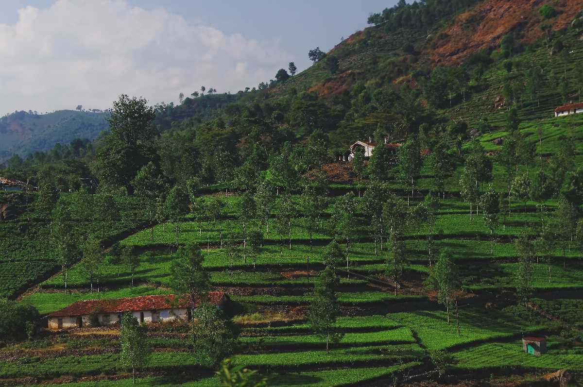 Kotagiri, Nilgiris