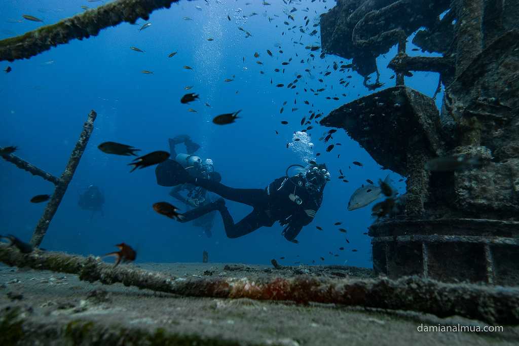 Japanese Garden, Dive Sites Near Koh Tao