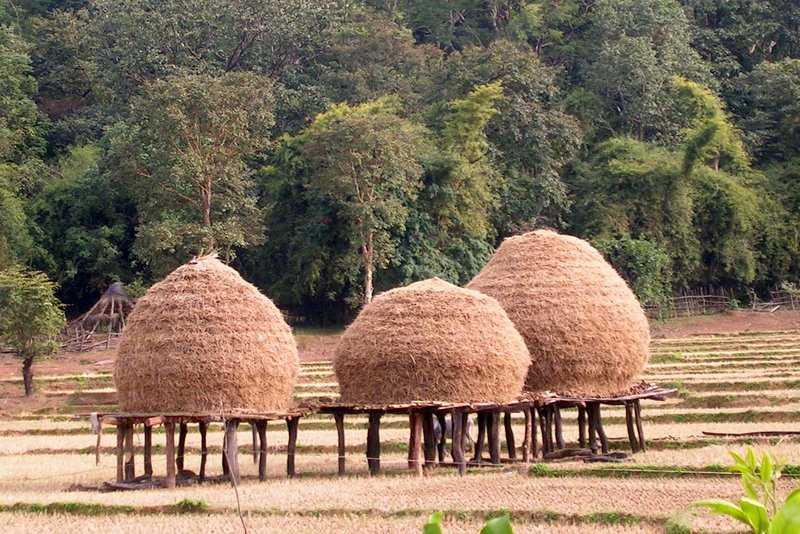 Fields in karnataka