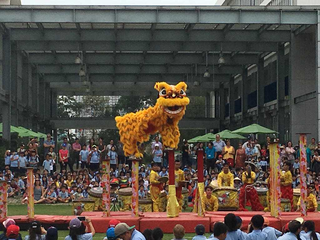 Culture of Vietnam, Lion Dance