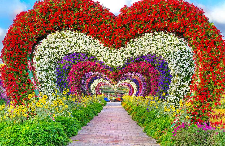 Miracle Garden Dubai Dubai Uae Timings Tickets More Miracle Garden Dubai Dubai Uae Timings Tickets More