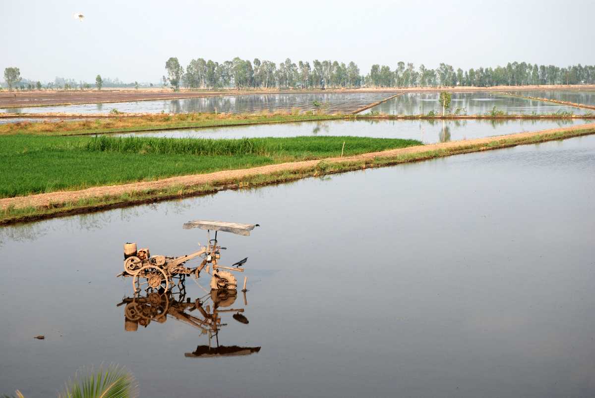 Mekong Delta, Landscape of Vietnam