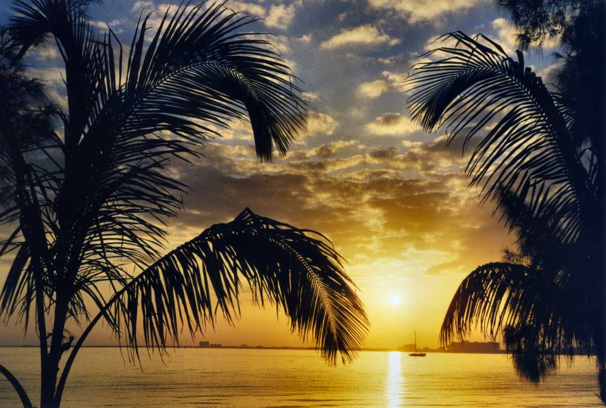 Miami Beach . FL Sunset Take-Away Box @ysl #SMILE #Sunset