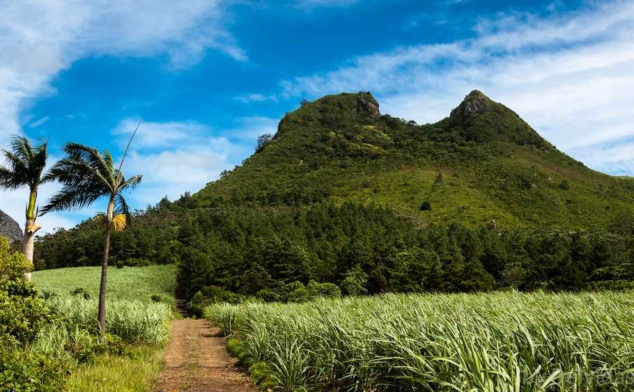 Trois Mamelles, Cycling in Mauritius