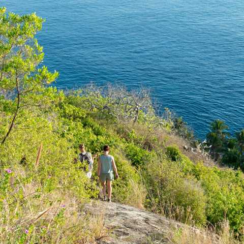 Guided walks in North Island