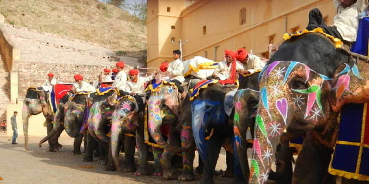 Elephant Ride at Amber Fort