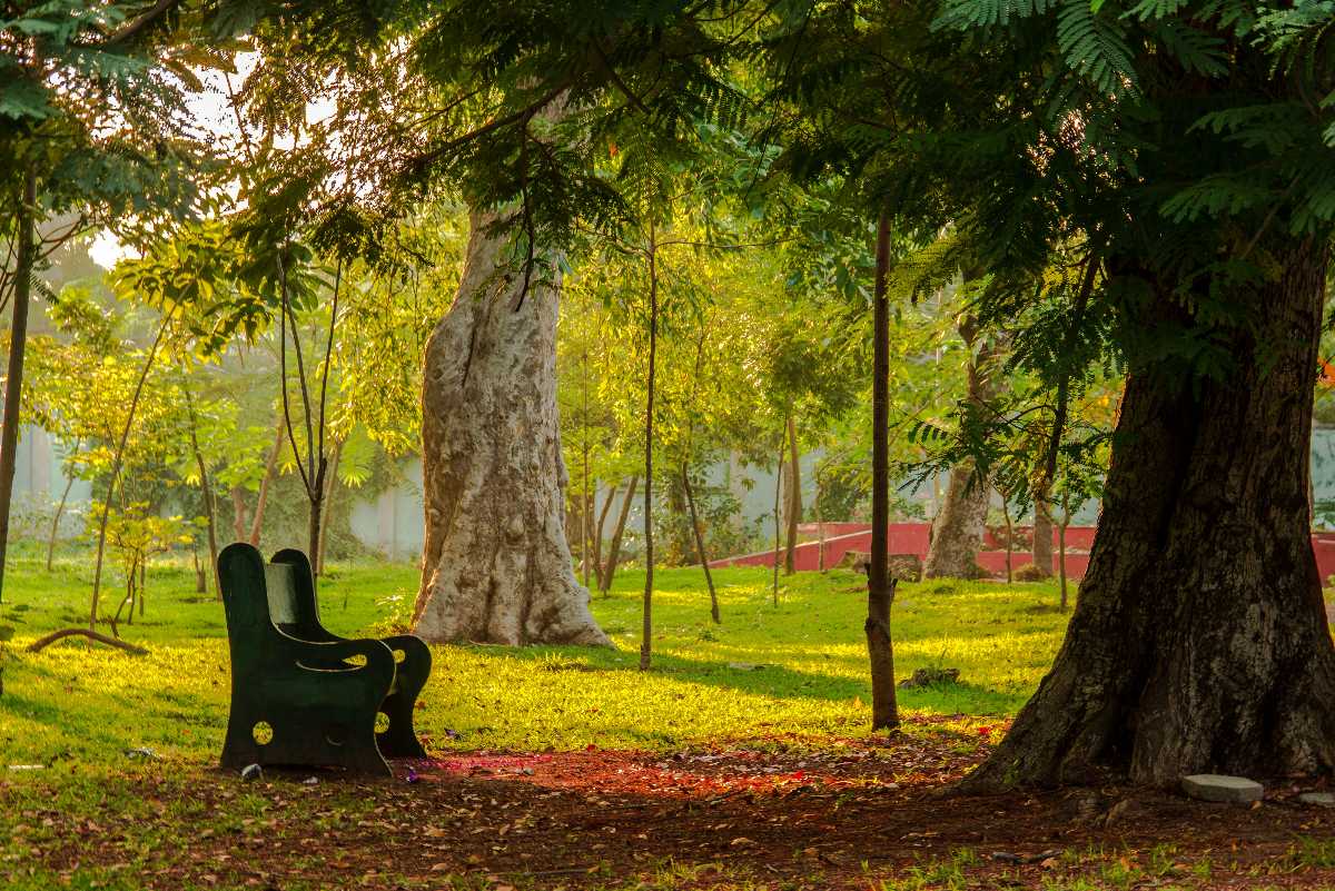 Botanical Garden, Pondicherry