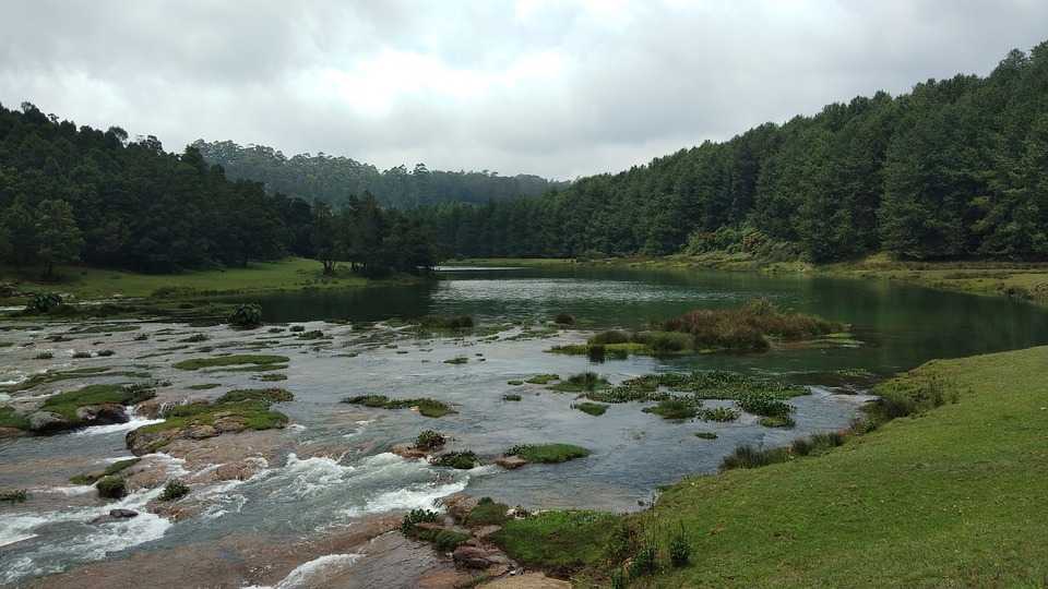 Ooty, Tamil Nadu