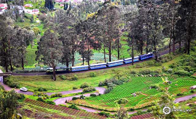 ooty tour packages from thanjavur