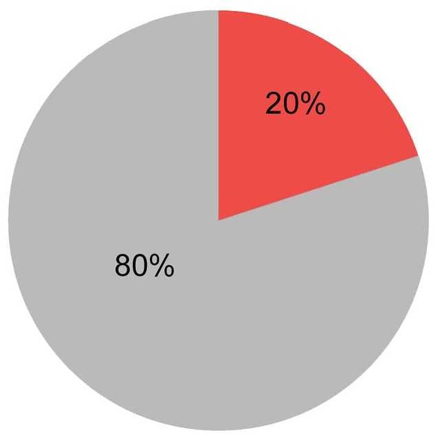 Pareto Principle