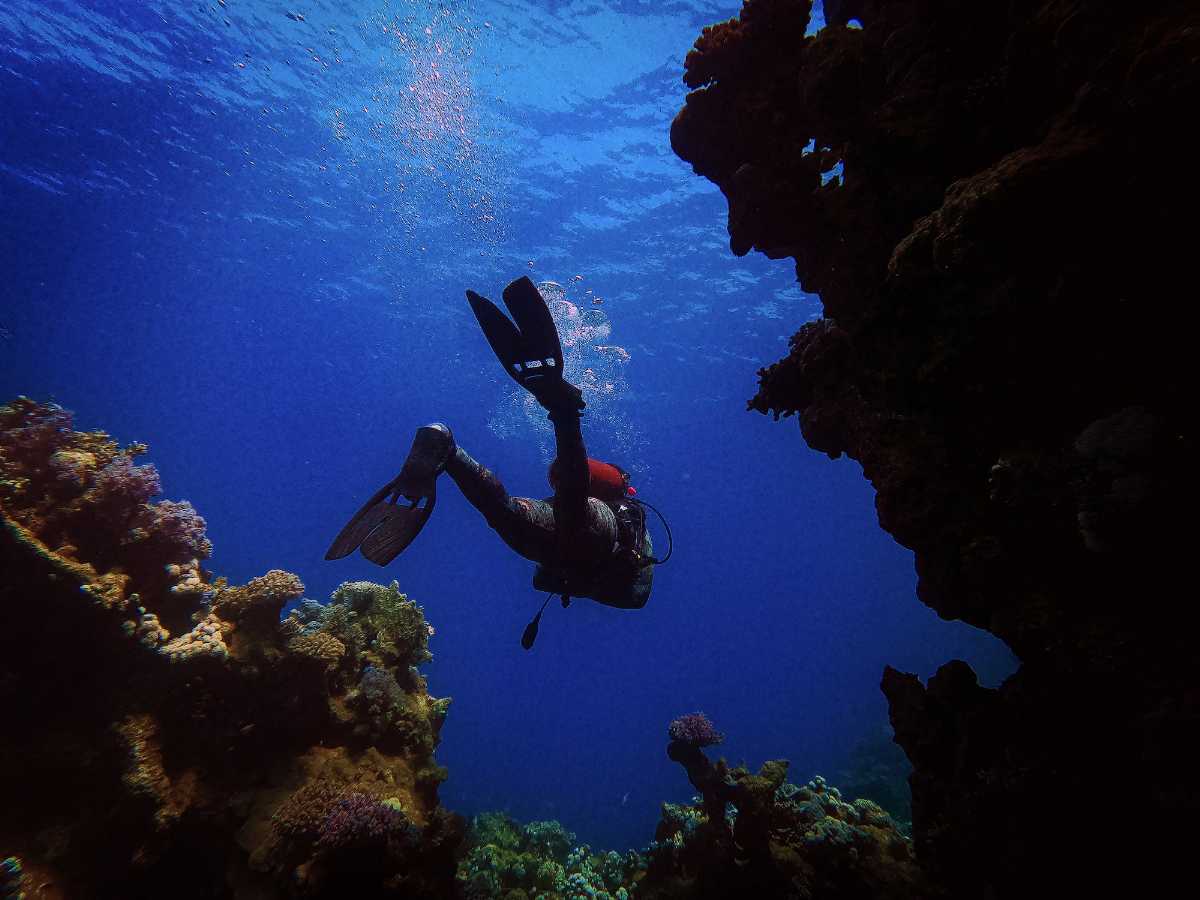 Diving in Sri Lanka