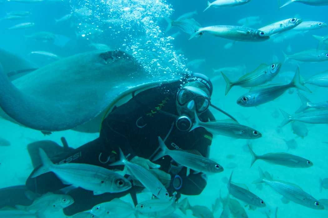 Scuba diving in India