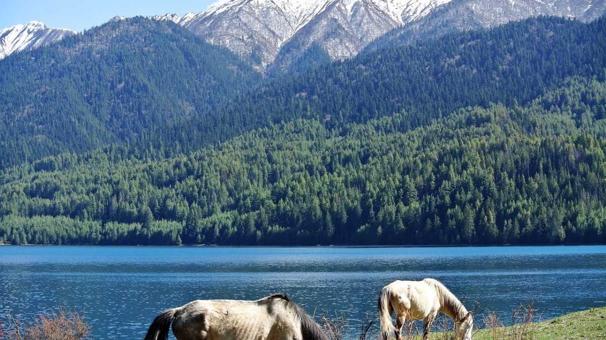 Rara Lake and National Park, Beautiful Places of Nepal for visit