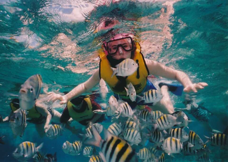 Snorkelling