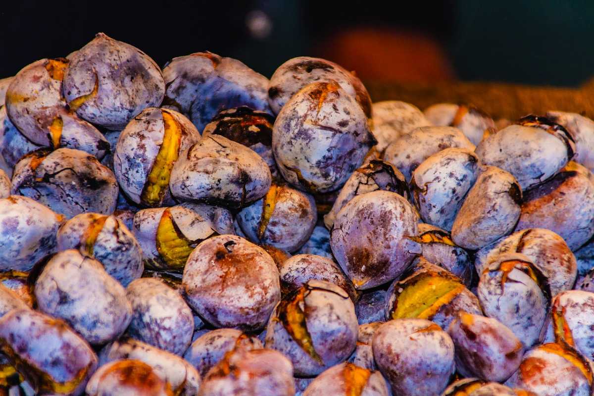 Roastes Chestnuts, Hong Kong