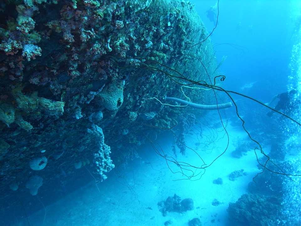 Identical image of Yong Hua Shipwreck