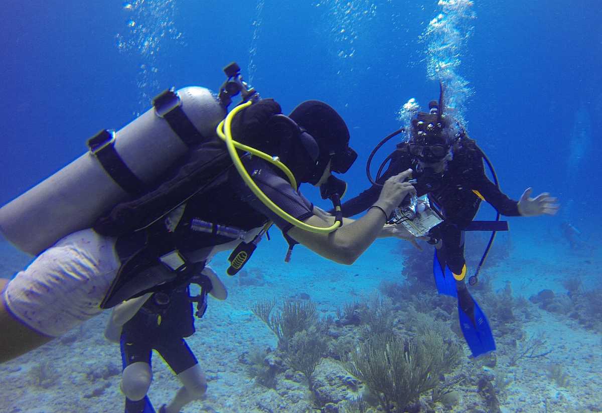 Scuba Diving in San Diego Cost, Best Time and 6 Best Dive Sites