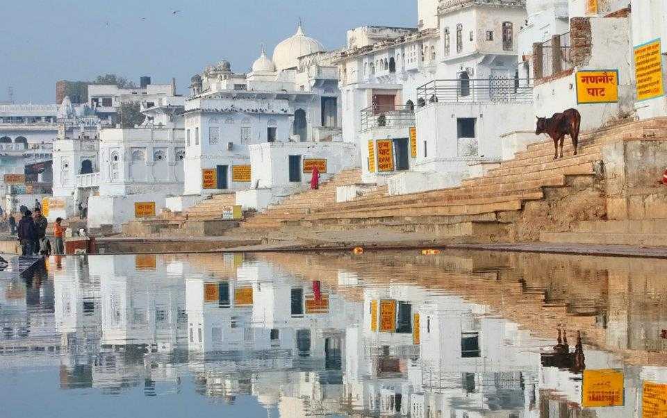 Pushkar & Nathdwara