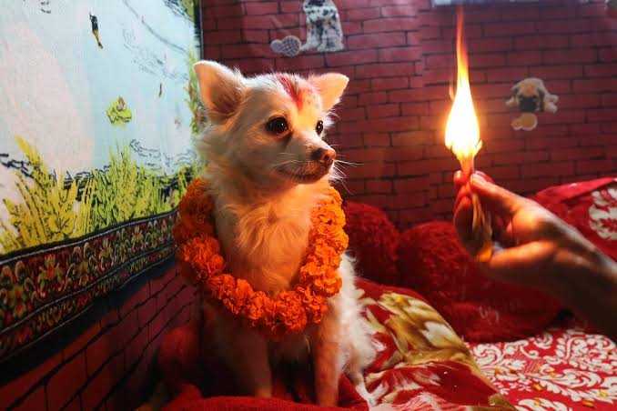 Tihar in Nepal