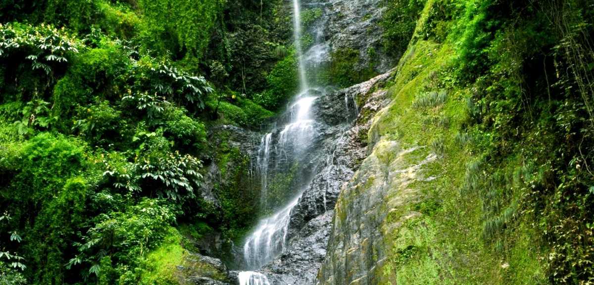 Staircase Waterfalls: Chadwick Falls