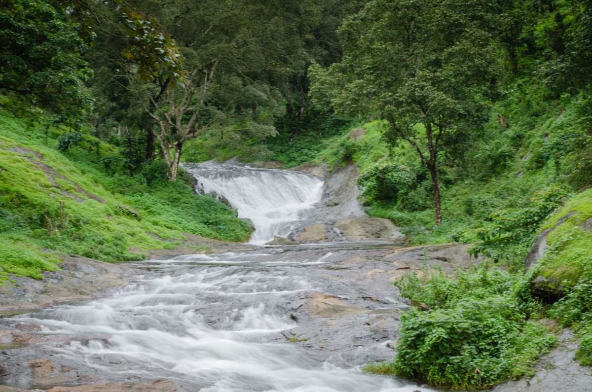 Nelliyampathy Hill Station