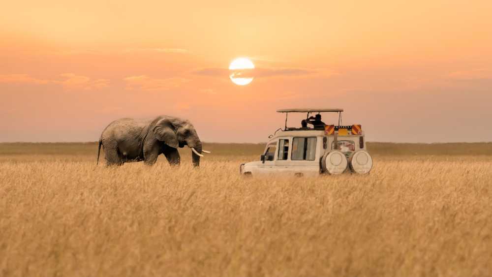 kenya tour packages from nigeria