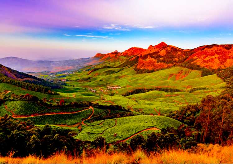 images of ooty tourist places