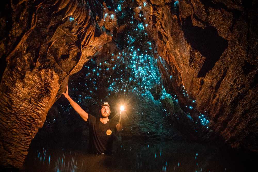 waitomo caves walking tour