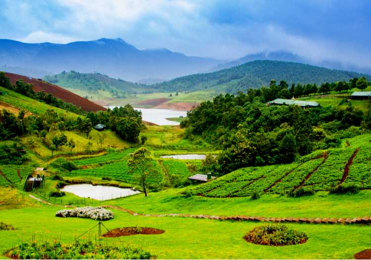 ooty kerala tour packages