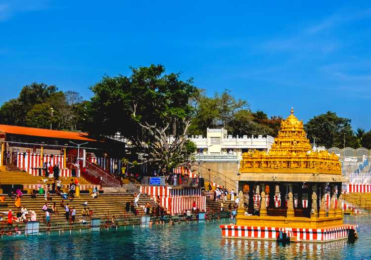 local tour packages in tirupati