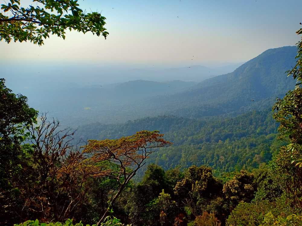 Agumbe