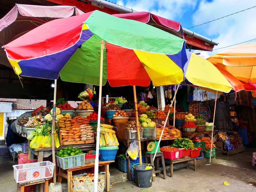 bali tourism market