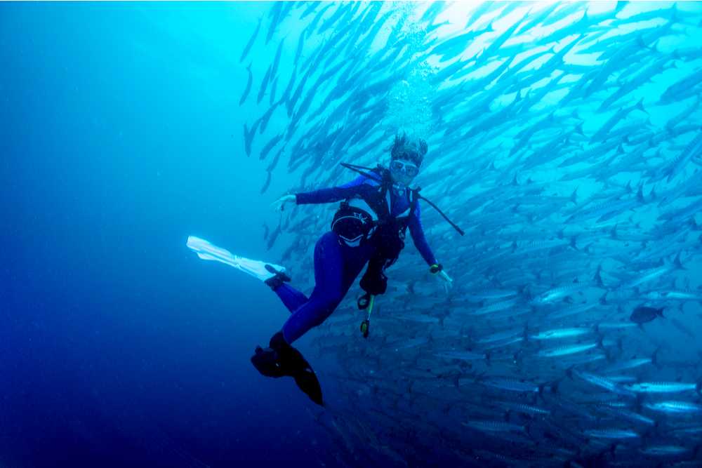 A scuba diver among a school of fishes