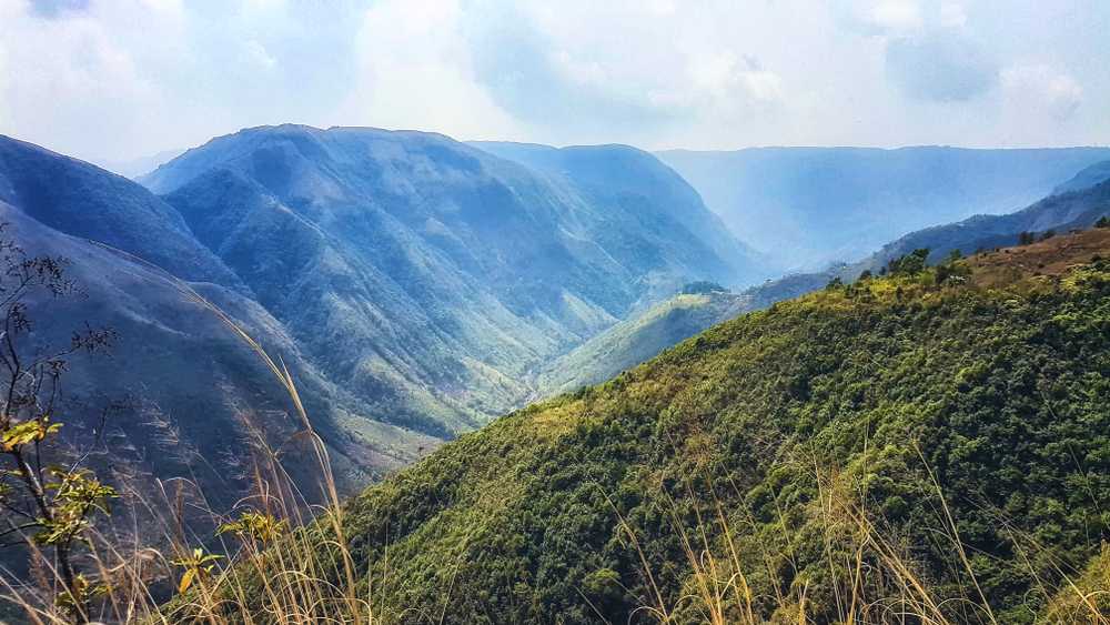 forest trip in india