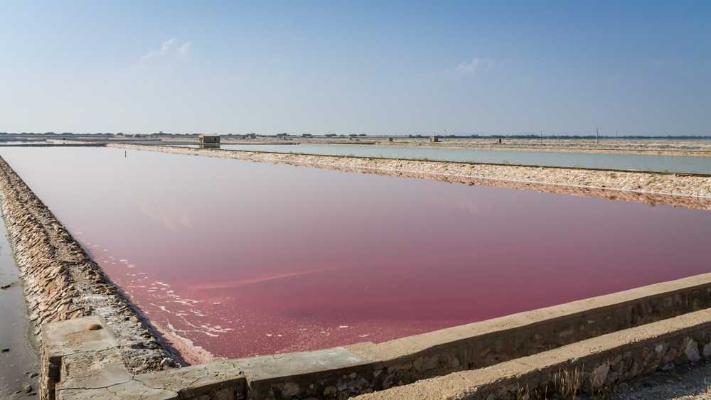 Sambhar Lake