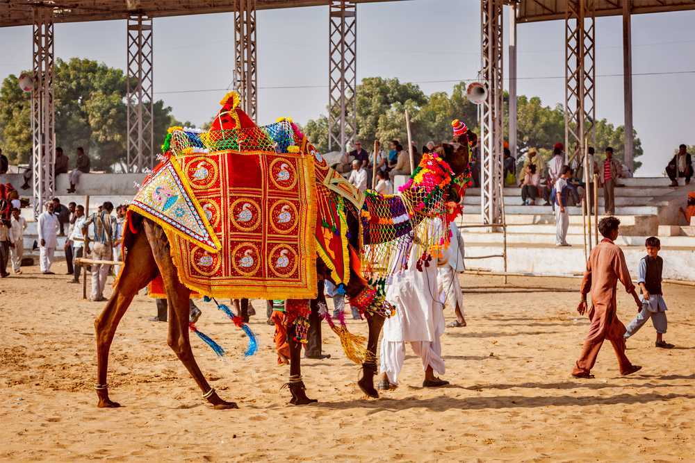 Pushkar Mela 2023 | Pushkar Fair Dates, Pushkar Camel Fair | Holidify