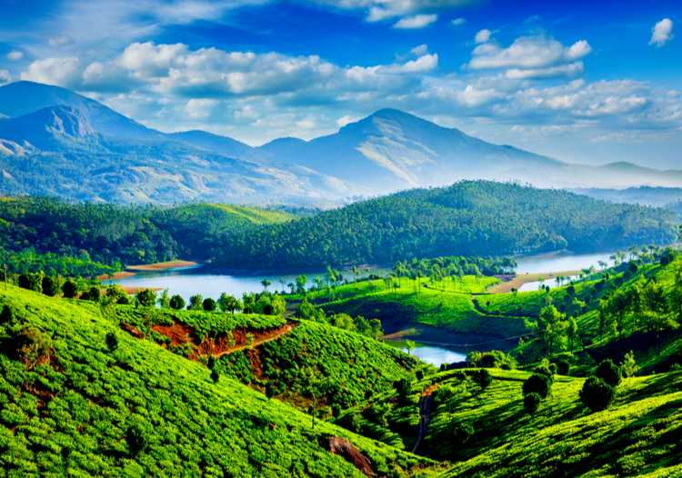 munnar tour packages for 7 days